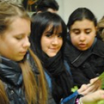 FiVo Vorstellungsmesse